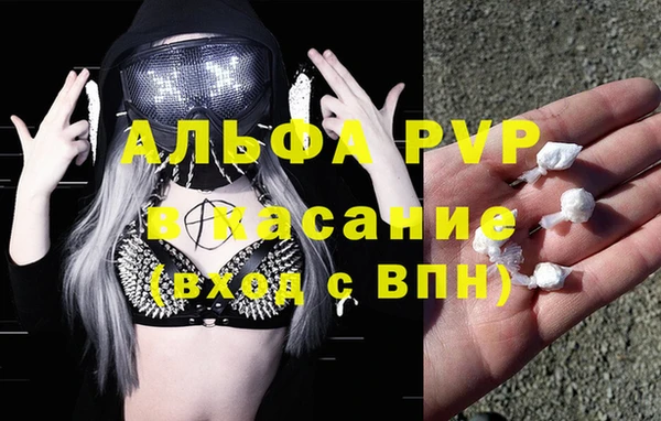 индика Алексин