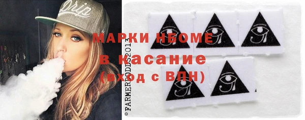 индика Алексин