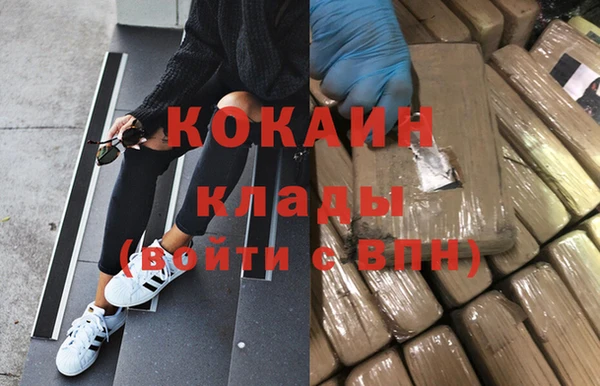 индика Алексин