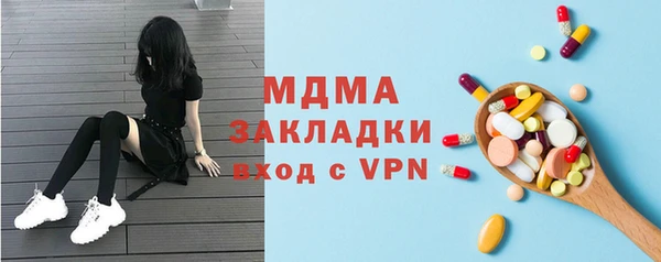 индика Алексин