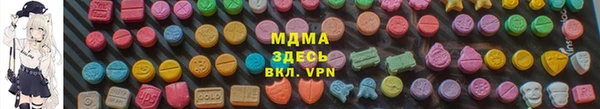 индика Алексин