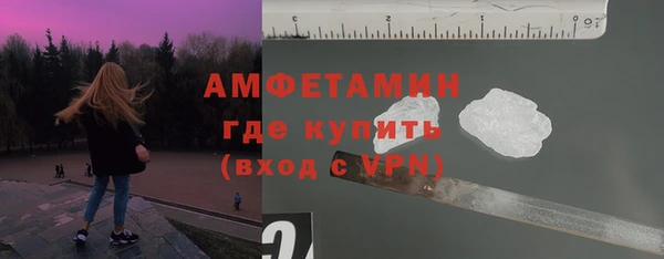 индика Алексин