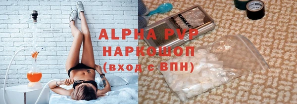 индика Алексин