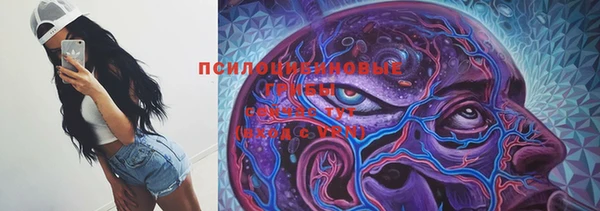 индика Алексин