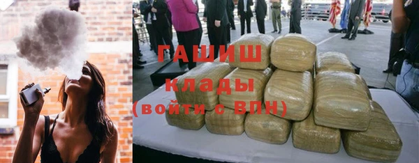 индика Алексин
