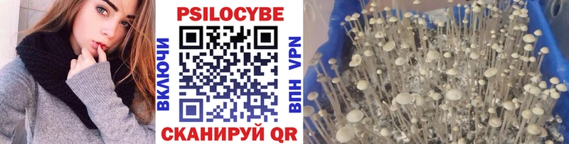 kraken ссылки  Рыбное  Псилоцибиновые грибы Psilocybe  купить закладку 